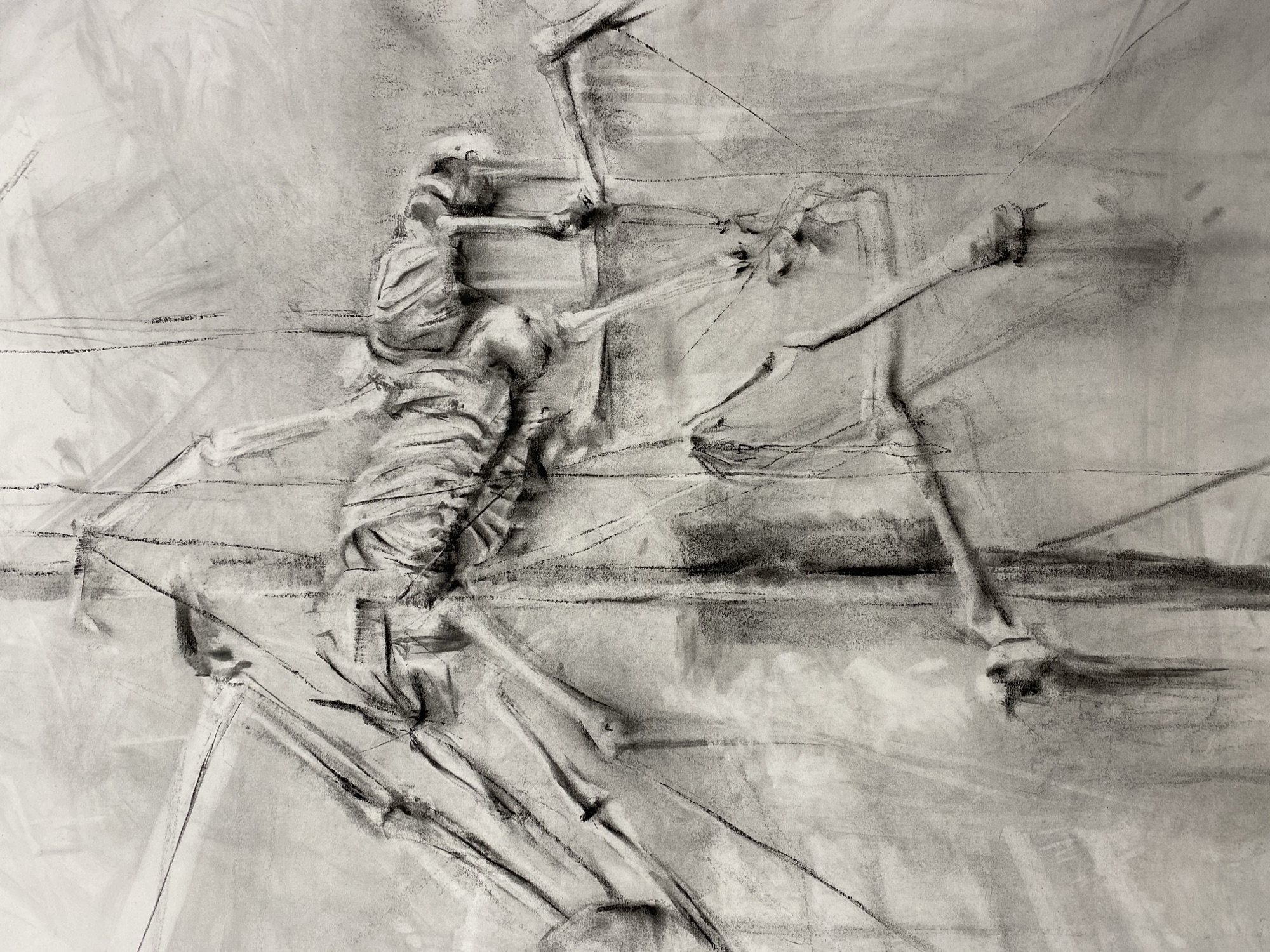 Organic Matter, a charcoal drawing by Selena Yang